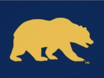 BEARS